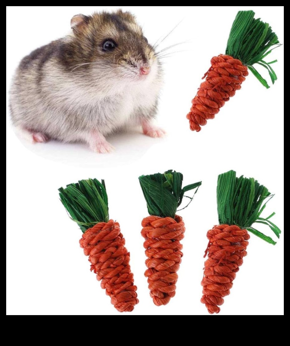 Χάμστερ Οδοντιατρική Φροντίδα Συνέχεια: Παροχή ασφαλών επιλογών μάσησης