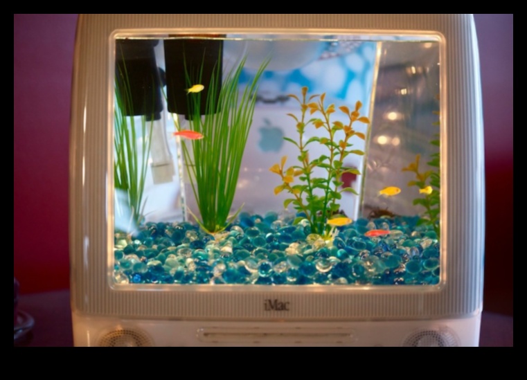Fish Tank DIY Continued Upcycled and Repurposed Decor Aquarium 3 Fish Tank DIY Continue: Upcycled and Repurposed Decor Aquarium
