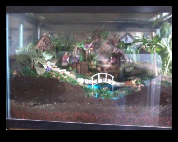 Fish Tank DIY Continued Upcycled and Repurposed Decor Aquarium 4 Fish Tank DIY Continue: Upcycled and Repurposed Decor Aquarium