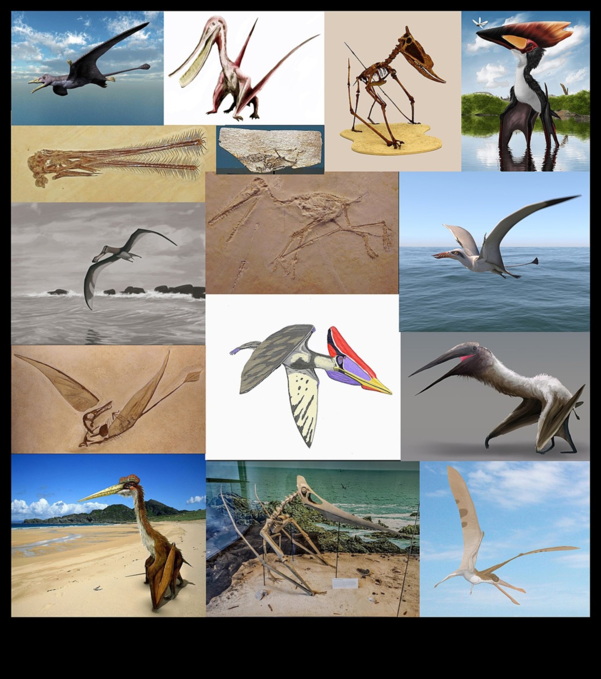 Οι Reptile Runners συνέχισαν περισσότερους μοντέρνους τρόπους για να ντύσετε το Scaley Companion σας 5 Reptile Runners Συνέχεια: Περισσότερα μοντέρνα αξεσουάρ για τον Scaley σύντροφό σας