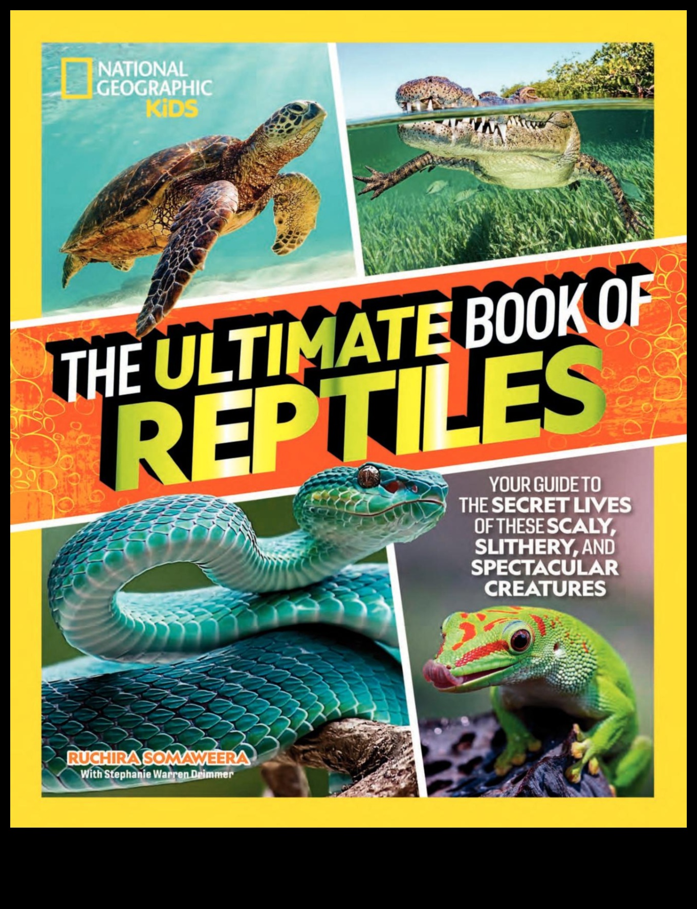 Οι Reptile Runners συνέχισαν περισσότερους μοντέρνους τρόπους για να ντύσετε το Scaley Companion σας 2 Reptile Runners Συνέχεια: Περισσότερα μοντέρνα αξεσουάρ για τον Scaley σύντροφό σας