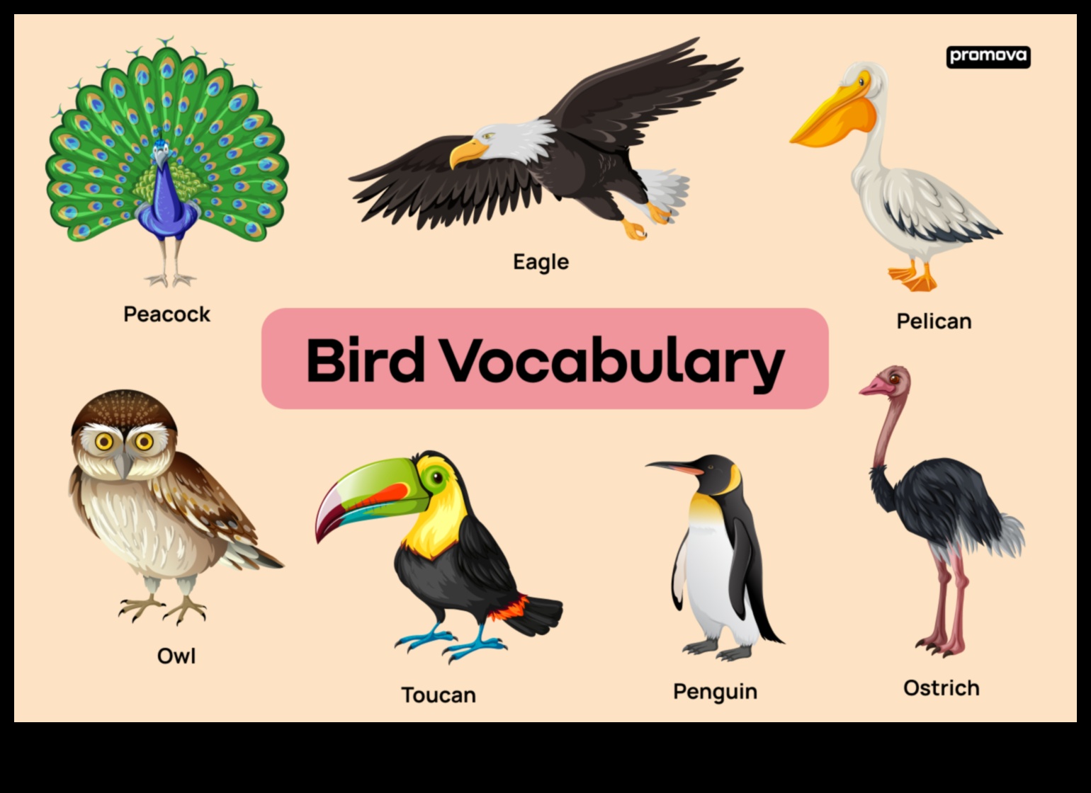 Οι φτερωτές οικογένειες συνεχίζονται: Ρόλοι γονέων σε διαφορετικά είδη πουλιών