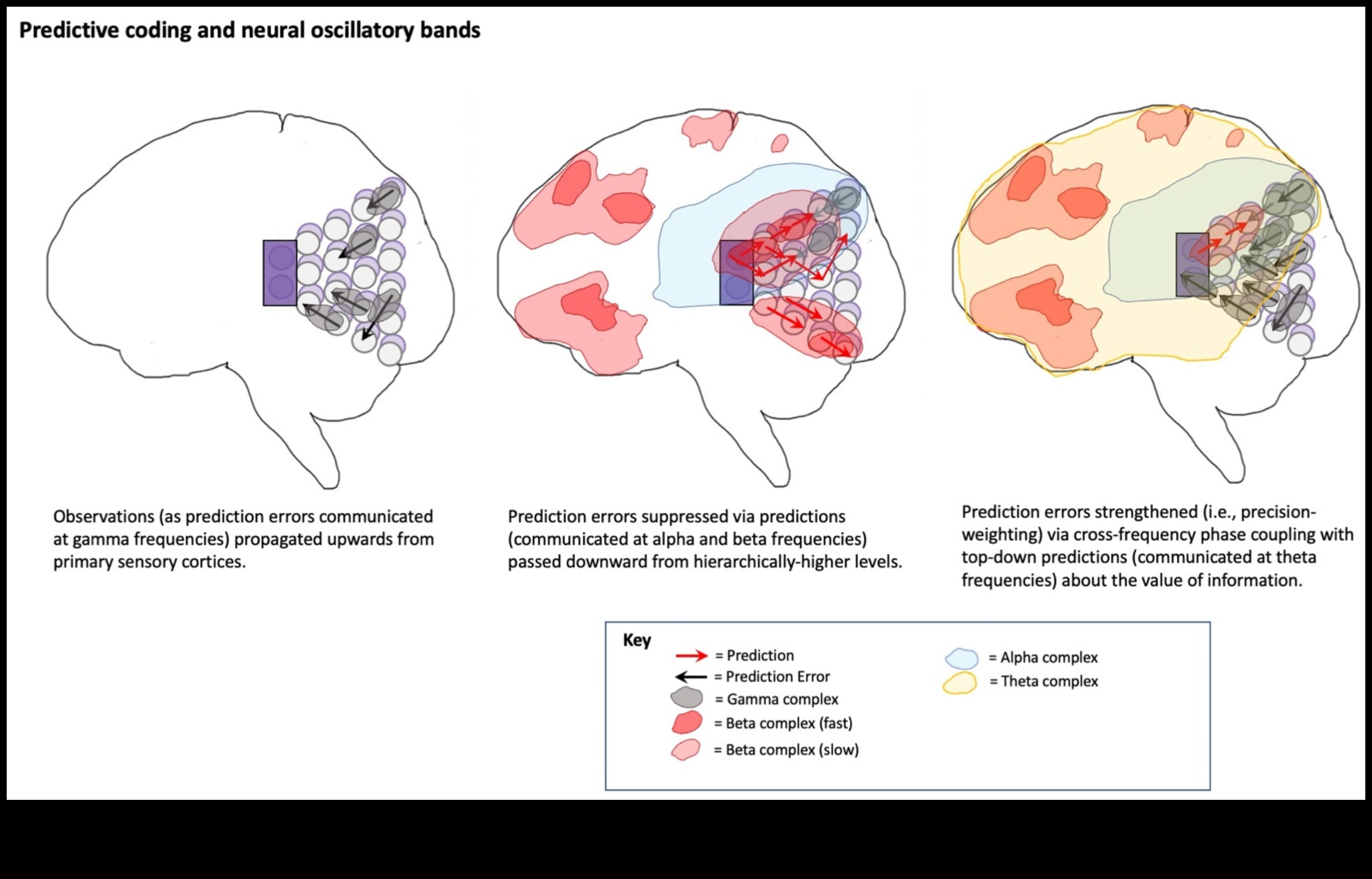 Συμφωνία Ενσωματωμένης Παρουσίας Μια σύνδεση μυαλού-σώματος για μια αρμονική ζωή 4 Συμφωνία Ενσωματωμένης Παρουσίας: Ενίσχυση της σύνδεσης μυαλού και σώματος