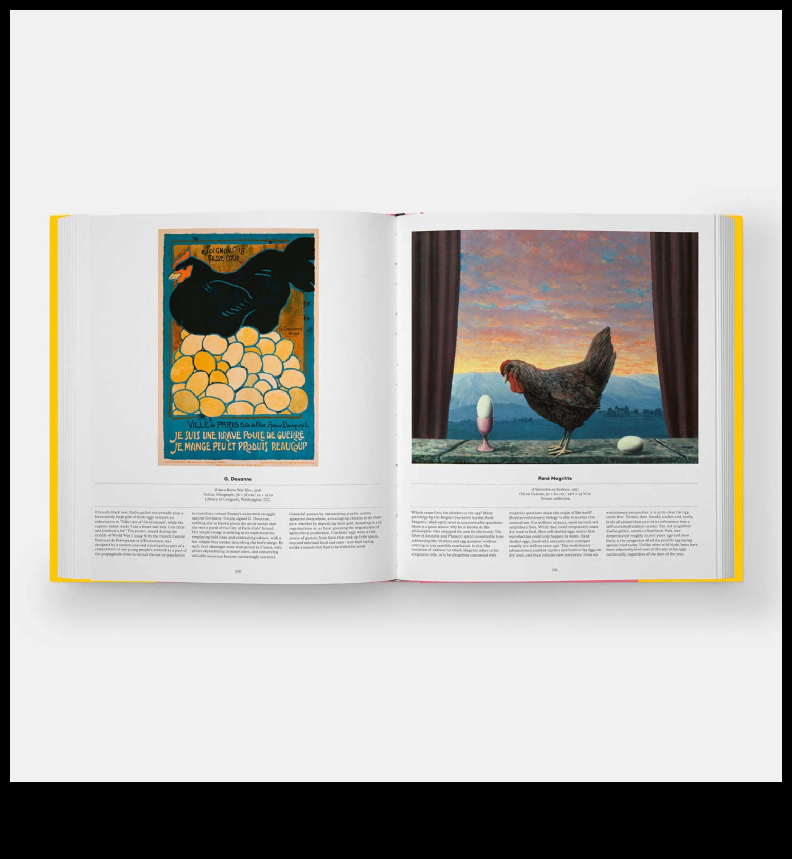 Winged Wonders Πώς να προσθέσετε μια πινελιά γοητείας στο Pet Bird σας 2 Winged Wonders: Accessorizing Your Pet Bird for Glamour