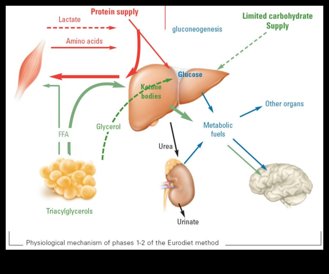 Κέτο και θετική εικόνα σώματος: Μια ολιστική προσέγγιση