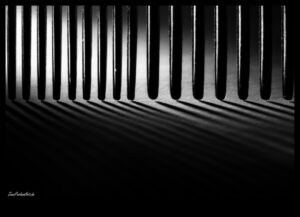 Abstract Allegiance: Finding Artistry in Unconventional Photography Styles