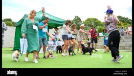 Doggy Disco: Χορευτική διασκέδαση για σκύλους και ιδιοκτήτες