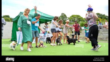 Doggy Disco: Χορευτική διασκέδαση για σκύλους και ιδιοκτήτες