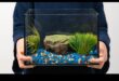 Fish Tank DIY Continue: Upcycled and Repurposed Decor Aquarium