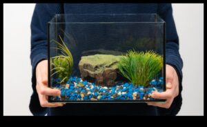 Fish Tank DIY Continue: Upcycled and Repurposed Decor Aquarium
