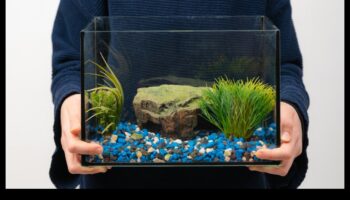 Fish Tank DIY Continue: Upcycled and Repurposed Decor Aquarium