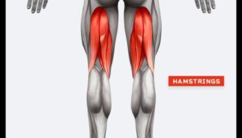 Hamstring Haven: Ασκήσεις για τονισμένους και καθορισμένους μύες των ποδιών