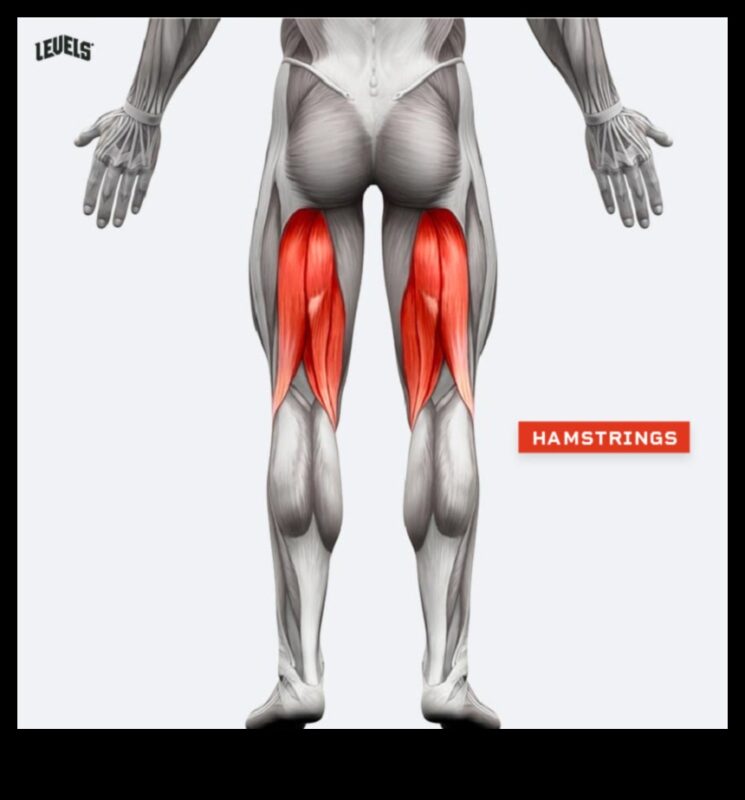 Hamstring Haven: Ασκήσεις για τονισμένους και καθορισμένους μύες των ποδιών