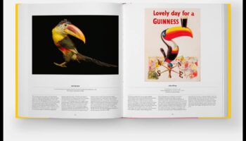 Winged Wonders: Accessorizing Your Pet Bird for Glamour