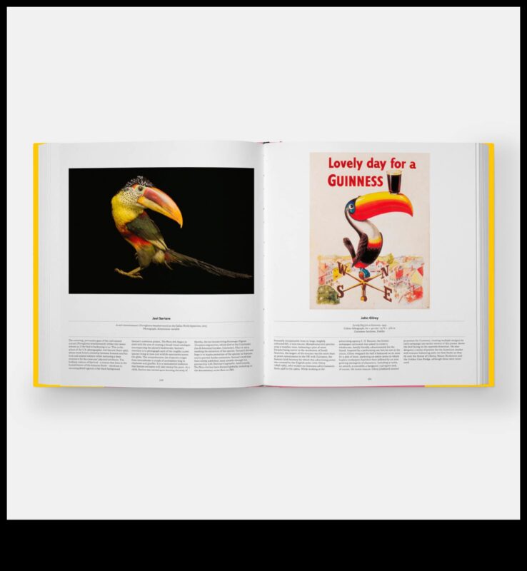 Winged Wonders: Accessorizing Your Pet Bird for Glamour