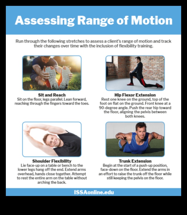 Dynamic Dexterity: Mastering Flexibility for a Life in Motion