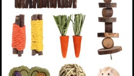 Η οδοντιατρική φροντίδα χάμστερ συνεχίστηκε παρέχοντας ασφαλείς πιθανές επιλογές μάσησης 1 Χάμστερ Οδοντιατρική Φροντίδα Συνέχεια: Παροχή ασφαλών επιλογών μάσησης