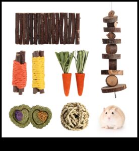 Χάμστερ Οδοντιατρική Φροντίδα Συνέχεια: Παροχή ασφαλών επιλογών μάσησης