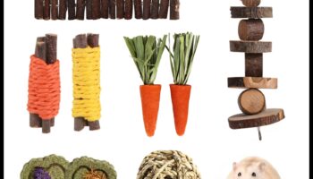 Χάμστερ Οδοντιατρική Φροντίδα Συνέχεια: Παροχή ασφαλών επιλογών μάσησης