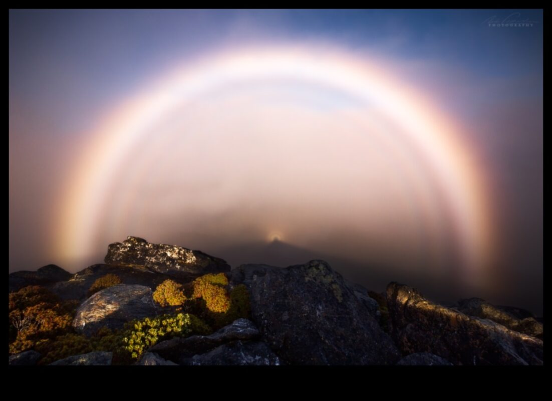 Iridescent Illusions: Mastering Techniques for Unique and Shimmering Shots