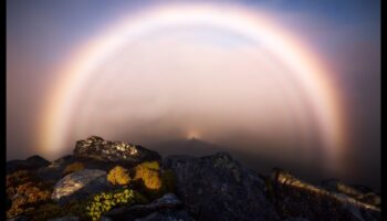 Iridescent Illusions: Mastering Techniques for Unique and Shimmering Shots