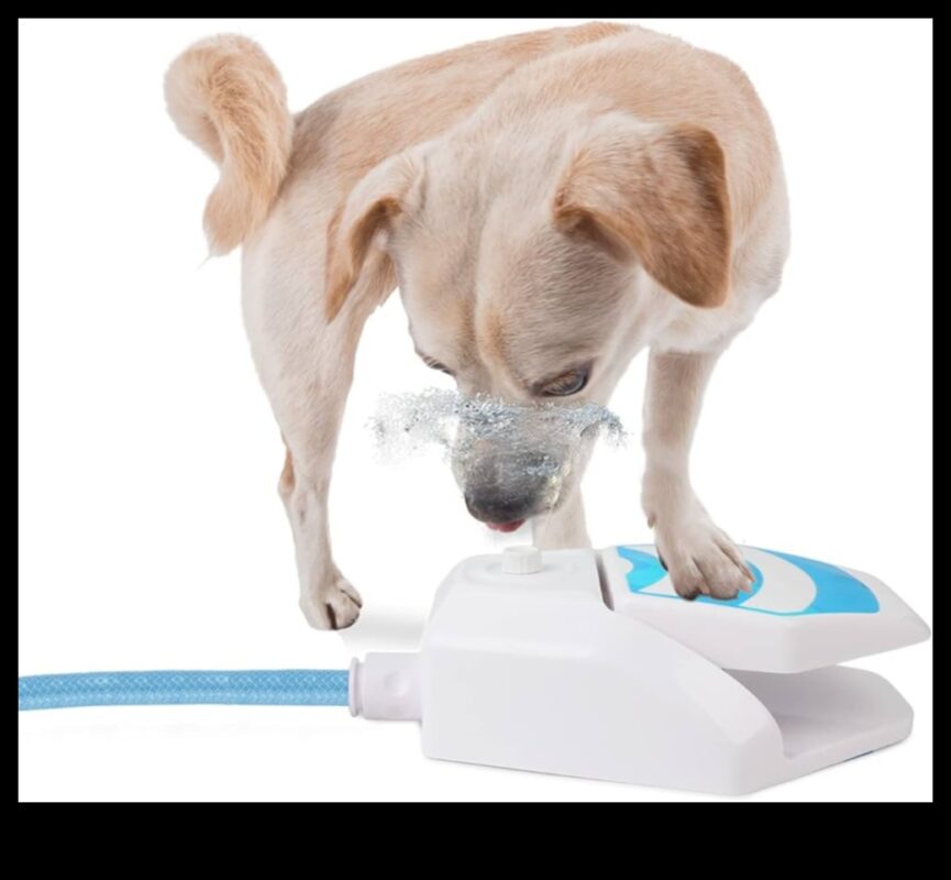 Puppy Pool Paw-ty Συνέχεια: Προσθήκη παιχνιδιών νερού για σκύλους