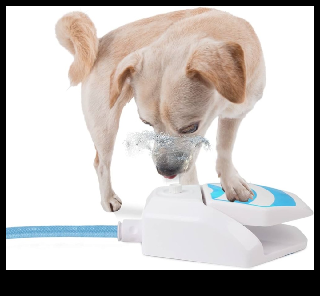 Puppy Pool Paw-ty Συνέχεια: Προσθήκη παιχνιδιών νερού για σκύλους