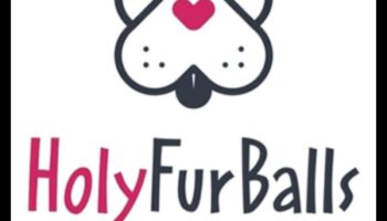 Pocket Pet Olympics: Φιλικοί Αγώνες για Μικρά Γουόμπαλα