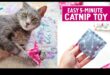 Χειροτεχνία με Catnip: Κάνοντας DIY παιχνίδια εμπλουτισμένα με Catnip