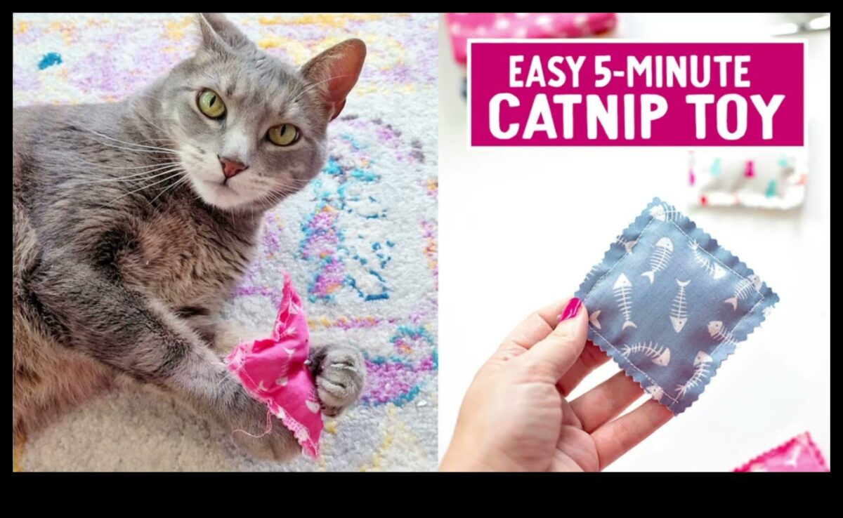 Χειροτεχνία με Catnip: Κάνοντας DIY παιχνίδια εμπλουτισμένα με Catnip