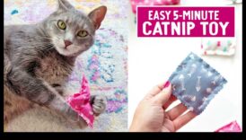 Χειροτεχνία με Catnip: Κάνοντας DIY παιχνίδια εμπλουτισμένα με Catnip