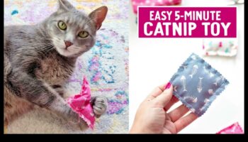 Χειροτεχνία με Catnip: Κάνοντας DIY παιχνίδια εμπλουτισμένα με Catnip